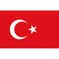 Flag Turkey 20x30cm printed